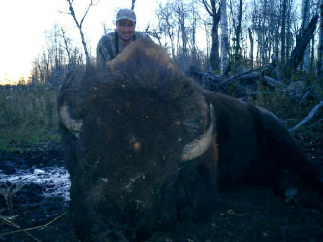 Ernesto Villalobos from Mexico with trophy bison at Echo Lake Hunts in Saskatchewan