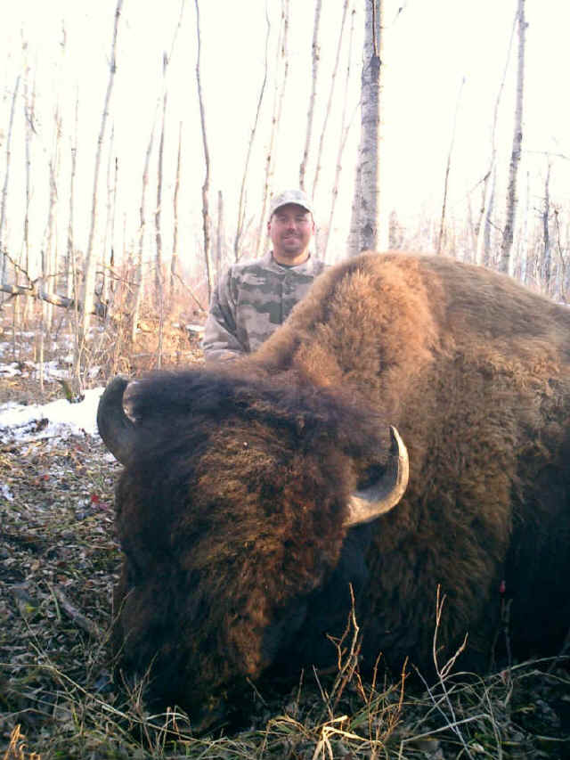 Mitch Robinson from Nevada with trophy bison at Echo Lake Hunts in Saskatchewan