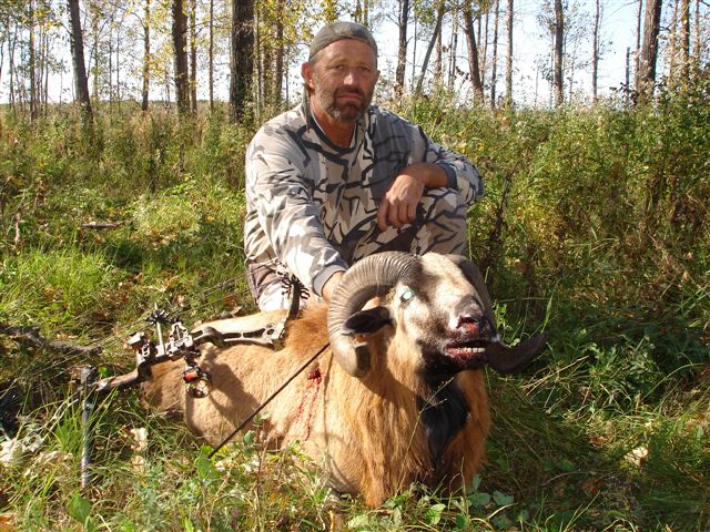 Hal Leavitt from Utah with trophy sheep at Echo Lake Hunts in Saskatchewan