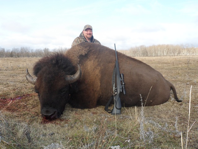 Leedon Wiseman from Oklahoma with trophy bison at Echo Lake Hunts in Saskatchewan