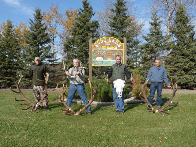 A great hunt elk hunting in Saskatchewan Canada