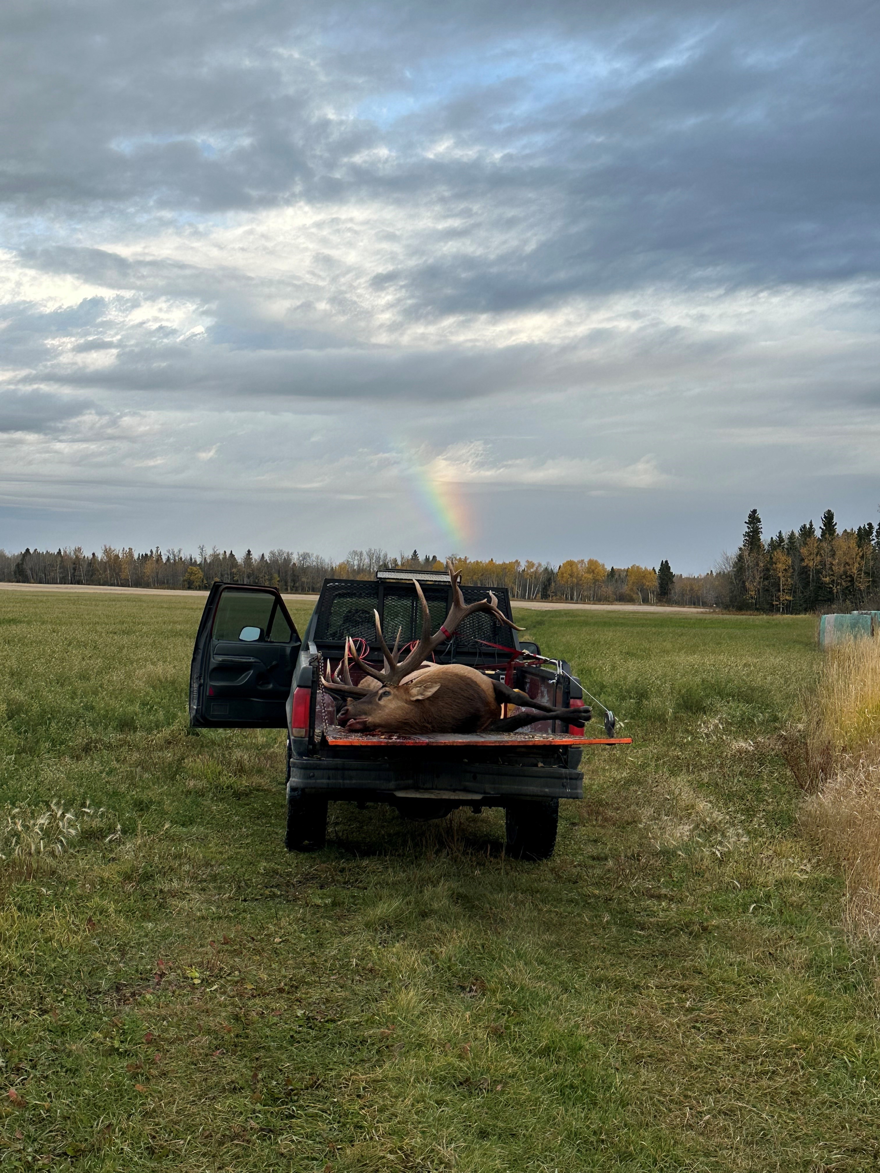 Pot of gold after hunting elk in Saskatchewan Canada